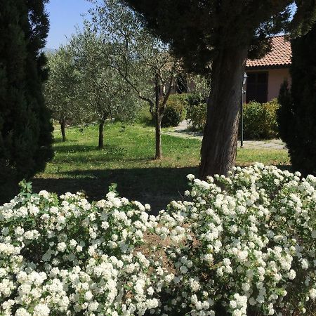 Villa Il Principino Country Resort Vinci Eksteriør bilde
